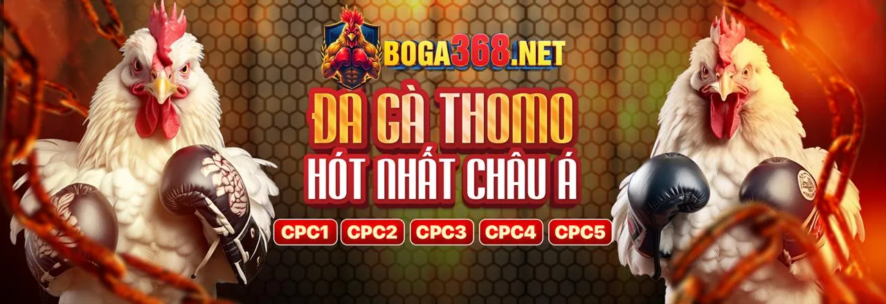 Hình ảnh chính 23win Casino