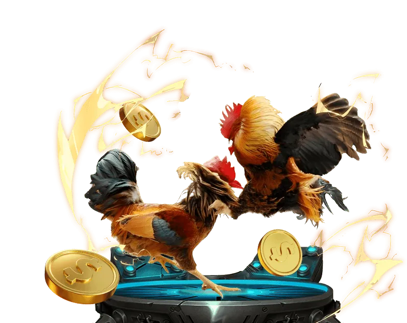 Tập hợp tài liệu pháp lý thể hiện sự rõ ràng của 23win casino